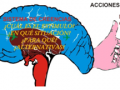 holistica6